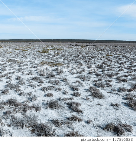 Salty soil in a dry lagoon, in the south of the province of La Pampa, Patagonia, Argentina. Salty soil in a dry lagoon, in the south of the province of La Pampa, Patagonia, Argentina. 137895828