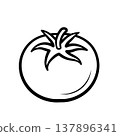 Tomato. Hand drawn sketch icons of vegetable. Isolated vector illustration in doodle line style. 137896341