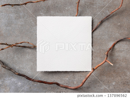 Blank card mockup on grey stone with dry branches, copy space. Minimal rustic stationery template Blank card mockup on grey stone with dry branches, copy space. Minimal rustic stationery template 137896562