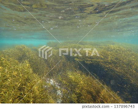 You can see the movement of the seawater. You can see the movement of the seawater. 137896743