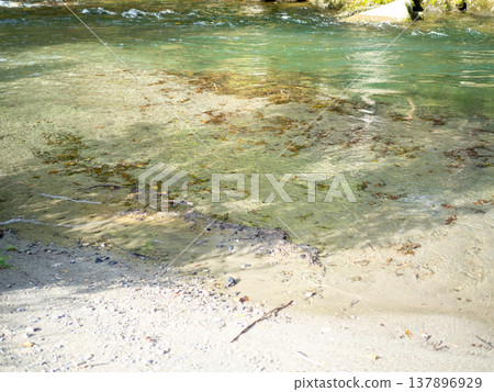 一條清澈的河流流經唐須川谷綠地。 一條清澈的河流流經唐須川谷綠地。 137896929