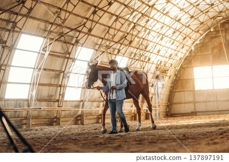 Walking around together. Man is with horse in the hangar Walking around together. Man is with horse in the hangar 137897191