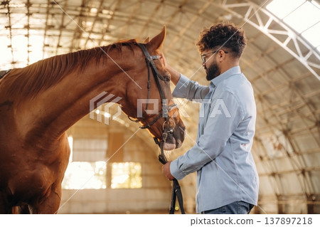 Side view, stroking the animal. Man is with horse in the hangar 137897218