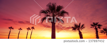 Seascape in the evening. Sunset over the sea. Embankment with palm trees 137897432