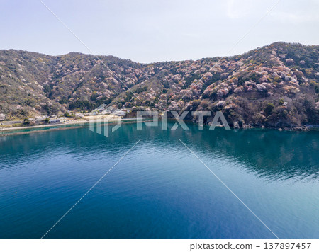 福井縣若狹町禦轎山,山櫻全景盡收眼底。日本海與山櫻交相輝映,構成春日美景。無人機航拍恆神半島。 福井縣若狹町禦轎山,山櫻全景盡收眼底。日本海與山櫻交相輝映,構成春日美景。無人機航拍恆神半島。 137897457