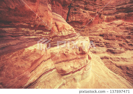 Dry riverbed, wilderness. Desert nature landscape. Sandstone texture. Red Canyon in the Negev Desert near Eilat in Israel Dry riverbed, wilderness. Desert nature landscape. Sandstone texture. Red Canyon in the Negev Desert near Eilat in Israel 137897471