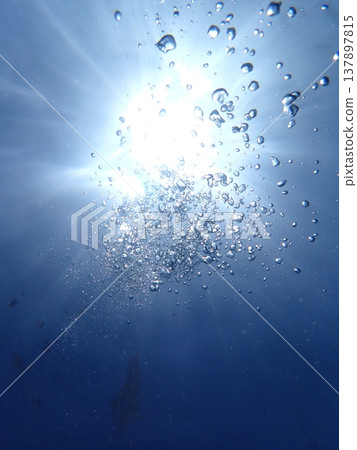 In the sparkling sea In the sparkling sea 137897815