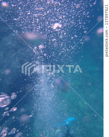 Divers dive Divers dive 137897821