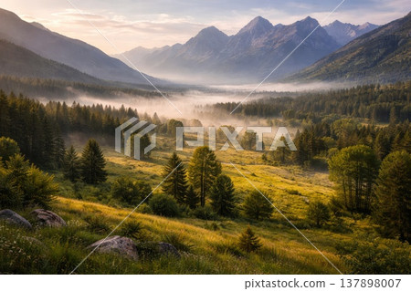 Beautiful Mountain Valley Landscape with Morning Mist and Forest Trees 137898007