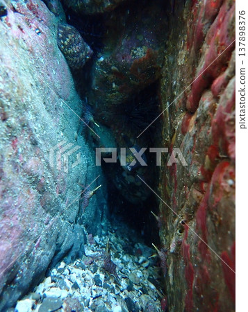 gaps in the sea gaps in the sea 137898376