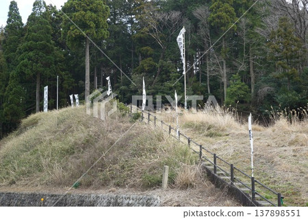 桃灰山 桃灰山 137898551