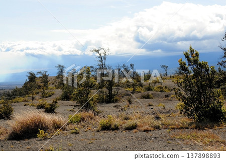 Kilauea Volcano Big Island Hawaii Kilauea Volcano Big Island Hawaii 137898893