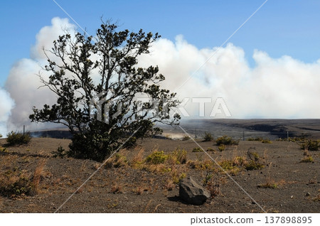 Kilauea Volcano Big Island Hawaii Kilauea Volcano Big Island Hawaii 137898895