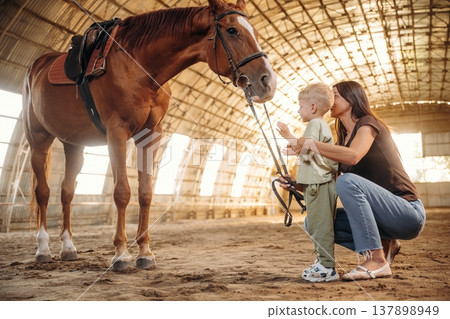 On the ground, standing and looking at animal. Mother and little son are with horse in hangar 137898949