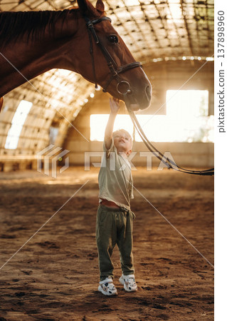 Male kid is reaching up to touch the horse, in the hangar Male kid is reaching up to touch the horse, in the hangar 137898960