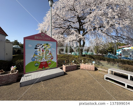 Shibukawa Skyland Park Shibukawa Skyland Park 137899034