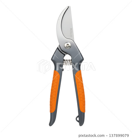 Pair of garden pruning shears with orange handles, isolated. Perfect for trimming roses, bushes, and maintaining healthy plants 137899079