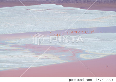 Stunning serene landscape of Laguna Colorada red salt lake in Bolivia Stunning serene landscape of Laguna Colorada red salt lake in Bolivia 137899093