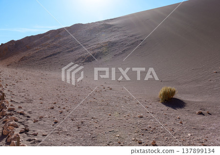 Awe inspiring vast desert landscape of Valle de la Luna in Chile Awe inspiring vast desert landscape of Valle de la Luna in Chile 137899134