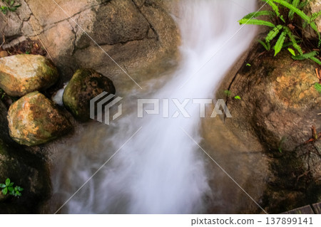 Close-up view of small waterfall into pond in rural in Hong Kong with slow shutter. Waterfall cascading gently over stones in forest. Nature scene. Close-up view of small waterfall into pond in rural in Hong Kong with slow shutter. Waterfall cascading gently over stones in forest. Nature scene. 137899141