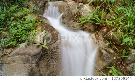 Close-up view of small waterfall into pond in rural in Hong Kong with slow shutter. Waterfall cascading gently over stones in forest. Nature scene. Close-up view of small waterfall into pond in rural in Hong Kong with slow shutter. Waterfall cascading gently over stones in forest. Nature scene. 137899144