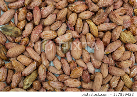 A group of people who look like they're going to get a huge disappointment in a gacha game: A real mountain of oddly shaped peanuts. A group of people who look like they're going to get a huge disappointment in a gacha game: A real mountain of oddly shaped peanuts. 137899428