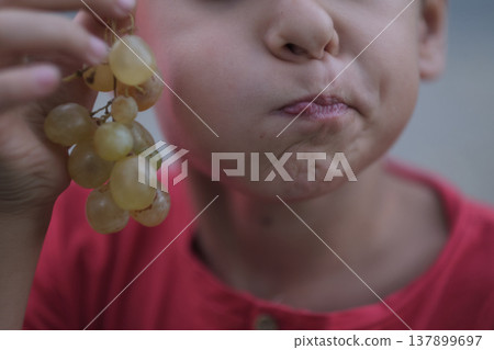 A close-up captures a young boy puckering his lips playfully while holding a bunch of grapes, dressed in a vibrant red shirt. joy and simplicity of childhood, hinting at healthy eating habits A close-up captures a young boy puckering his lips playfully while holding a bunch of grapes, dressed in a vibrant red shirt. joy and simplicity of childhood, hinting at healthy eating habits 137899697