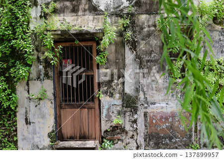 The exterior wall of an old building covered in ivy The exterior wall of an old building covered in ivy 137899957