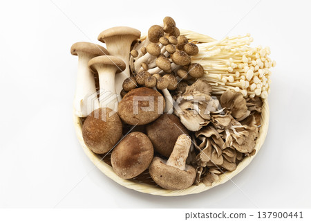 Assorted mushrooms in a colander Assorted mushrooms in a colander 137900441