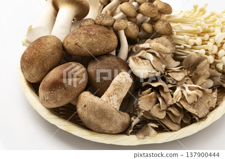 濾鍋裡的各種蘑菇 137900444