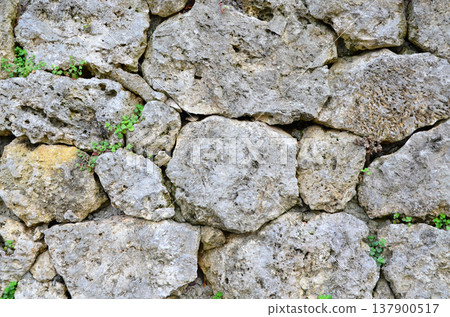 石牆 石牆 137900517