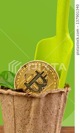 Bitcoin sits in a plant pot with a green shovel on a bright background Bitcoin sits in a plant pot with a green shovel on a bright background 137901340