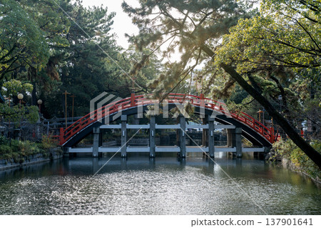 The iconic Sorihashi red arched bridge at Sumiyoshi Taisha shrine in Osaka, Japan. Scenic landscape with pine trees, a calm pond and sunlight filtering through lush greenery in a zen garden. The iconic Sorihashi red arched bridge at Sumiyoshi Taisha shrine in Osaka, Japan. Scenic landscape with pine trees, a calm pond and sunlight filtering through lush greenery in a zen garden. 137901641