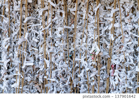 Traditional Japanese omikuji fortune slips tied to sacred shimenawa ropes at a Shinto shrine. Dense wall of white paper strips represents prayers and wishes in Japan cultural heritage. 137901642