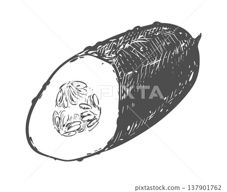 Vector sketch of a cucumber. Detailed botanical illustration isolated on a white background. Ink drawing of a cut cucumber, seeds visible. Line drawing of this agricultural vegetable for packaging. Vector sketch of a cucumber. Detailed botanical illustration isolated on a white background. Ink drawing of a cut cucumber, seeds visible. Line drawing of this agricultural vegetable for packaging. 137901762