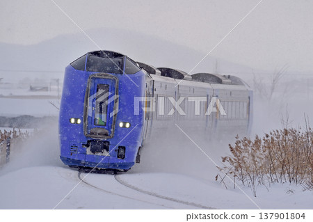 Soya Main Line, Kita-Pippu - Ranru, JR Hokkaido, KiHa 261 series 0 series, SE-203 formation (Naebo), Super Soya 137901804