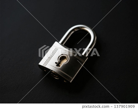 金屬掛鎖 137901909