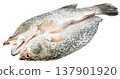 Raw butterfly cut barramundi or Asian sea bass fish isolated. Fresh seafood ready for cooking or grilling. Whole fish split open showing silver skin and scales. 137901920