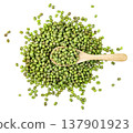 Top view of organic green mung beans in a heap with a wooden spoon. Raw dried legumes for healthy cooking, vegan protein source, and nutrition. Professional studio shot. 137901923