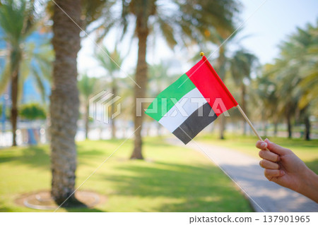 female hand holding tiny flag of UAE 137901965