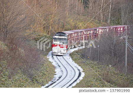 Sekihoku Main Line, Ikutahara - Kinka (Signal Station), JR Freight, DF200-4 + E26 container cars + DF200-58 (Goryokaku) 137901990
