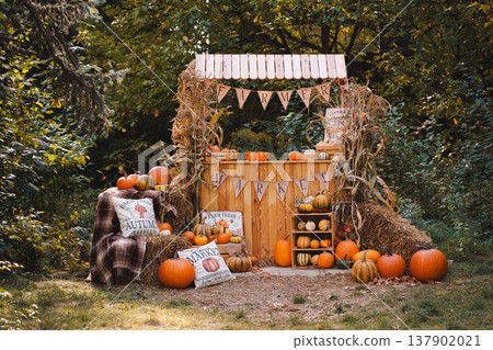 Cozy Autumn Harvest Scene with Pumpkins and Rustic Farm Market Stand Cozy Autumn Harvest Scene with Pumpkins and Rustic Farm Market Stand 137902021