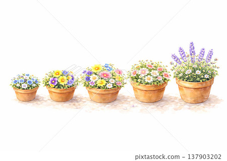 花盆系列：不同尺寸的花盆，全部盛開。 137903202