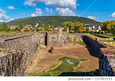 Deer living in semi-freedom since 1974 in the moat of the Jaca citadel in the city of Jaca, Huesca, Aragon, Spain 137903353