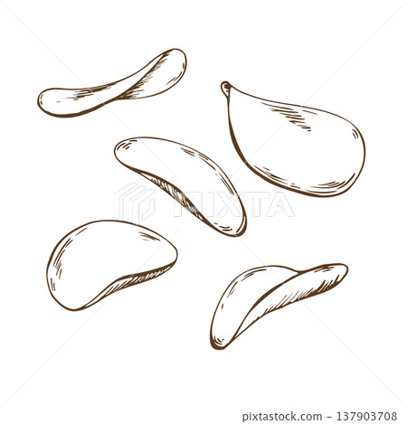Potato chips set hand drawn illustration in sketch style. Vintage engraved drawing of crispy snack for menu design or food packaging decoration. Natural vegetable snack isolated clip art Potato chips set hand drawn illustration in sketch style. Vintage engraved drawing of crispy snack for menu design or food packaging decoration. Natural vegetable snack isolated clip art 137903708