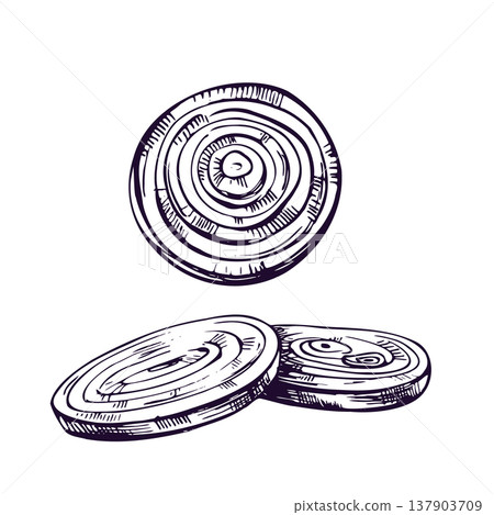 Onion vegetable slices drawn in ink line art style. Hand drawn sketch illustration of sliced onion for culinary menu design, packaging, organic food concept and cooking ingredient. Onion vegetable slices drawn in ink line art style. Hand drawn sketch illustration of sliced onion for culinary menu design, packaging, organic food concept and cooking ingredient. 137903709