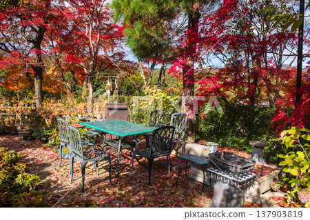 table and chairs by autumn colors at Jojakkoji temple, Arashiyama 137903819