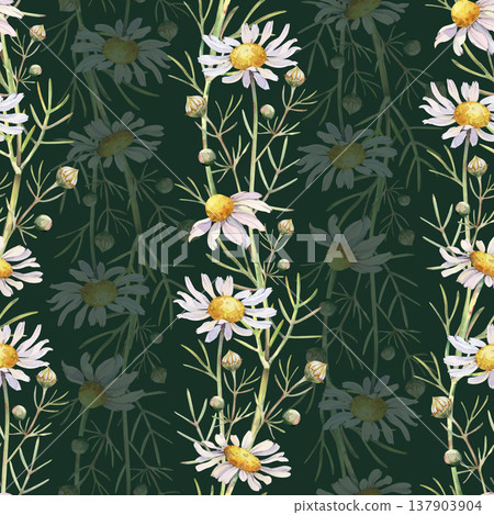 Vertical summer pattern with white daisies and leaves on a dark green background. Watercolor botanical illustration. Realistic floral background for packaging, wallpaper, textiles, tableware. For Vertical summer pattern with white daisies and leaves on a dark green background. Watercolor botanical illustration. Realistic floral background for packaging, wallpaper, textiles, tableware. For 137903904