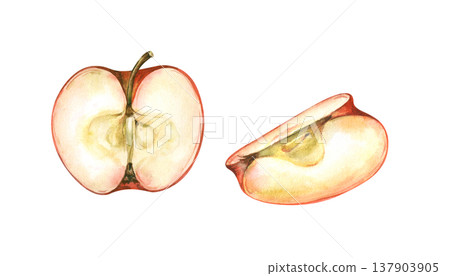 Watercolor drawing with different parts of a cut red apple on an isolated background. Realistic clipart for jam design, baby food, cooking and autumn harvest. Food illustration. Watercolor drawing with different parts of a cut red apple on an isolated background. Realistic clipart for jam design, baby food, cooking and autumn harvest. Food illustration. 137903905