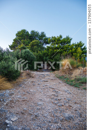 Rocky hiking trail leading through green forest and dry grass under clear blue sky. Natural outdoor landscape with perspective depth, leading lines and peaceful atmosphere. Rocky hiking trail leading through green forest and dry grass under clear blue sky. Natural outdoor landscape with perspective depth, leading lines and peaceful atmosphere. 137904055